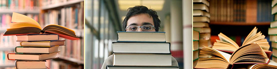 Интернет магазин "Дом книги"